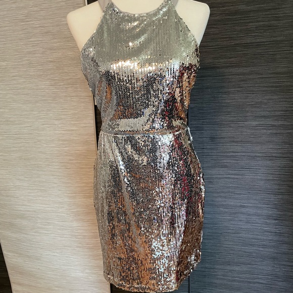 LuLu’s Silver Sequin Dress - Picture 7 of 8